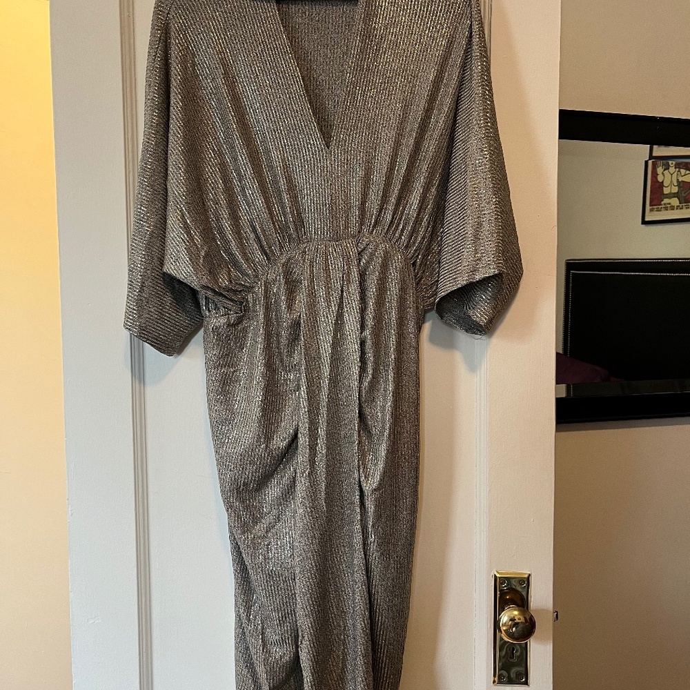 Silver dress